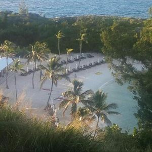 Meet your Posher, Paul